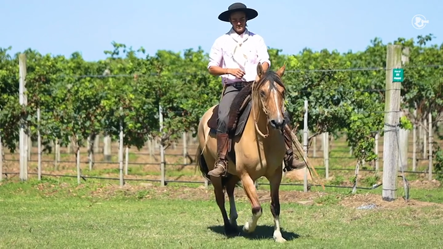 Lote Sevenia Del Chafalote - Cabaña El Chafalote