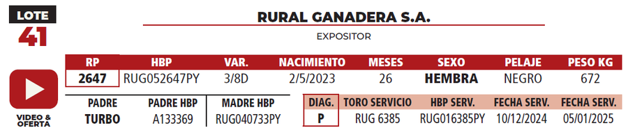Lote LOTE 41