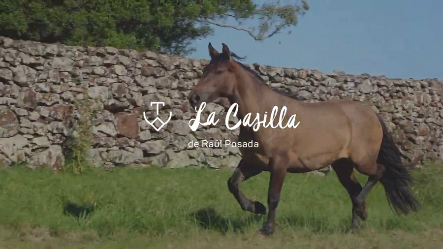 Lote SUPREMA 712 DE LA CASILLA