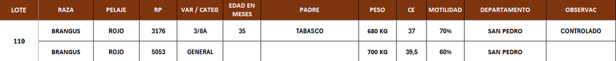 Lote LOTE 119