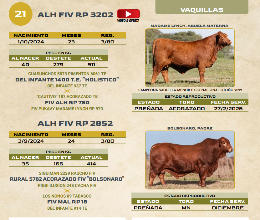 Lote LOTE 21