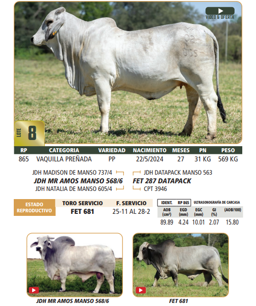Lote LOTE 8