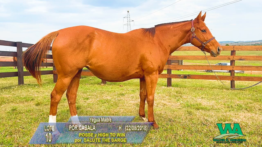 Lote POR CABALA