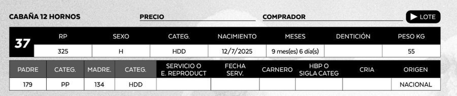 Lote LOTE 37