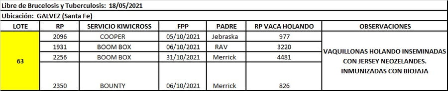 Lote Lote 63 La amanecida