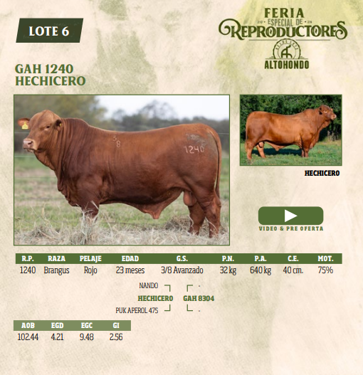 Lote LOTE 6