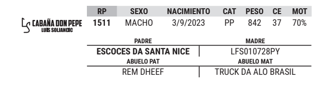 Lote LOTE 36