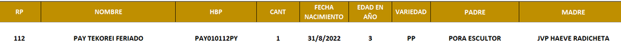 Lote LOTE 17