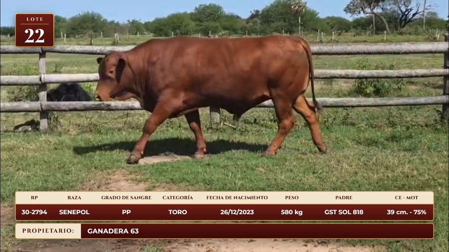Lote LOTE 22