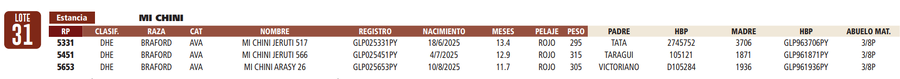 Lote LOTE 31