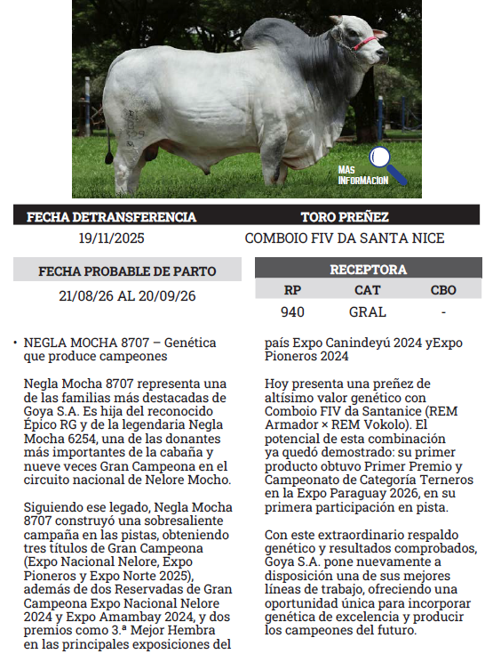 Lote LOTE 7 - PREÑECES