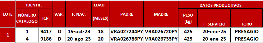 Lote LOTE 1