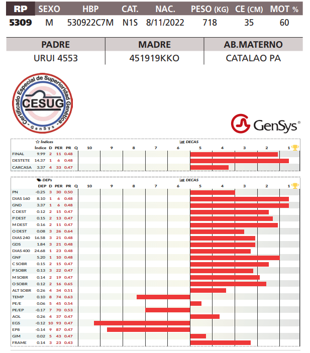 Lote LOTE 25
