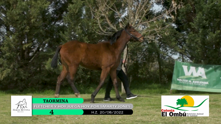 Lote TAORMINA