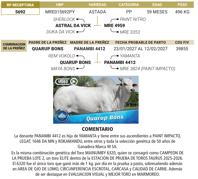 Lote LOTE 40
