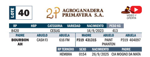 Lote LOTE 40- POR PANTALLA