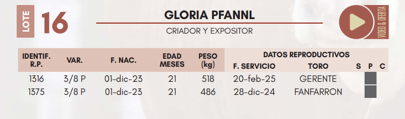 Lote LOTE 16 HEMBRAS DE CAMPO