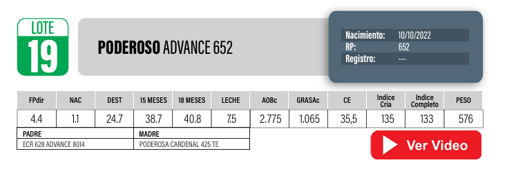 Lote Toros PI / PO / PC Hereford a remate en Cabaña La Poderosa, Florida