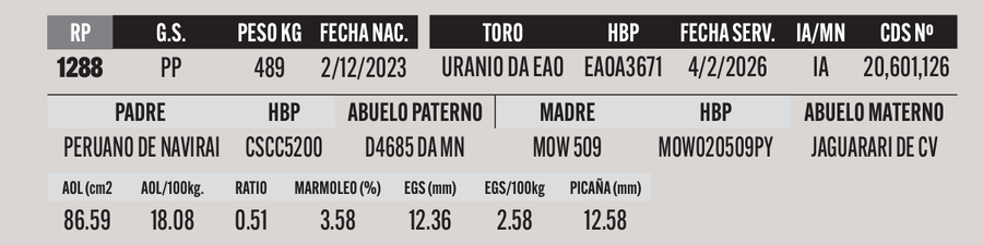 Lote LOTE 22