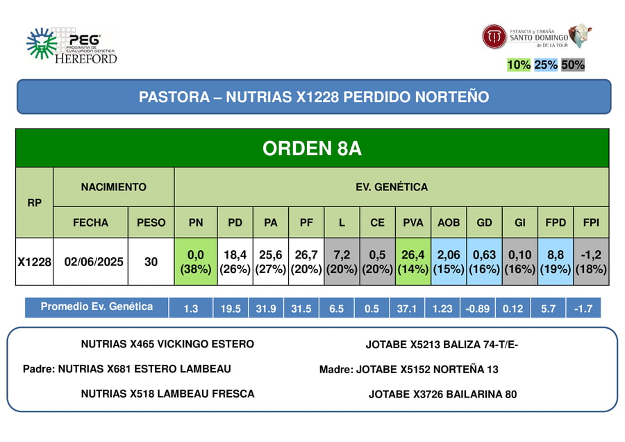 Lote ORDEN 8 TERNERAS PP