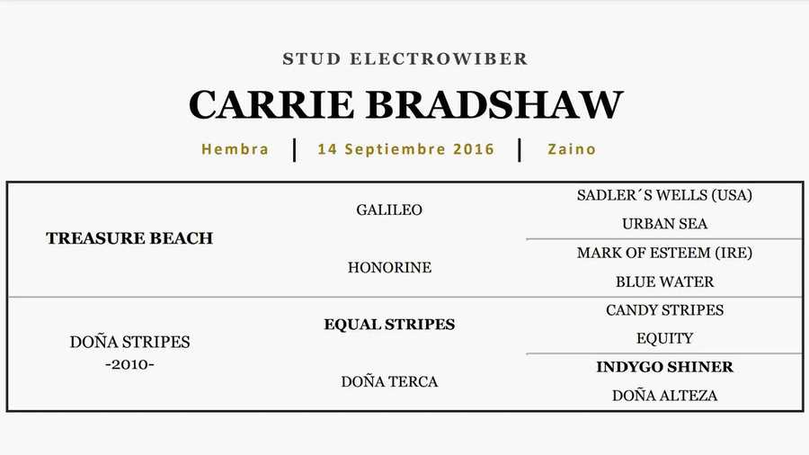 Lote CARRIE BRADSHAW (TREASURE BEACH - DOÑA STRIPES)