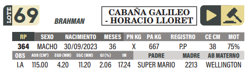Lote LOTE 69