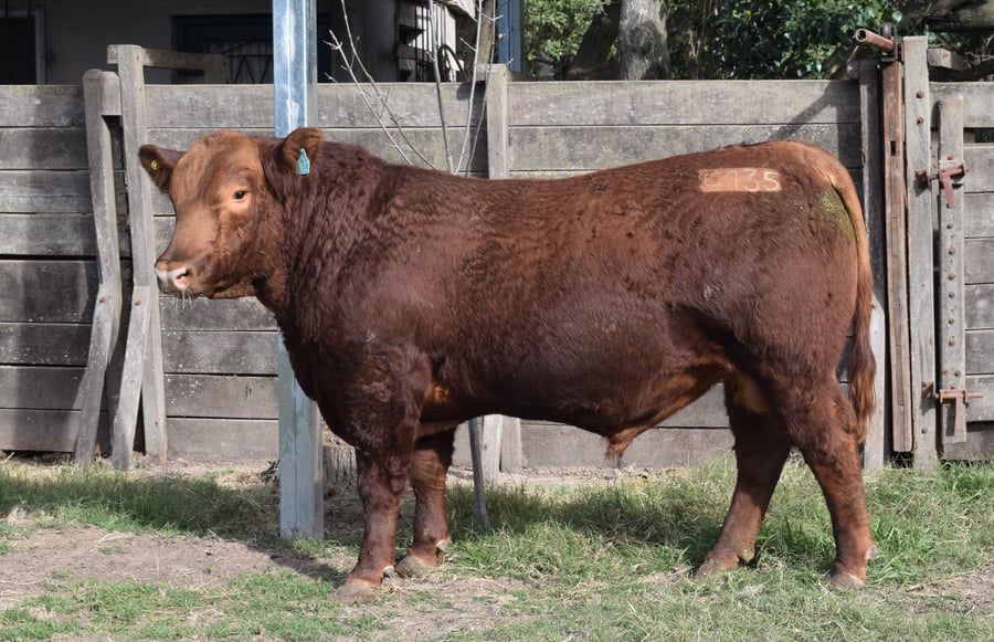 Lote CABAÑA “COEMBOTÁ” de Calderón RP 135