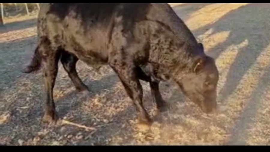 Lote RP 113-121-133-123 CABAÑA MADAGU