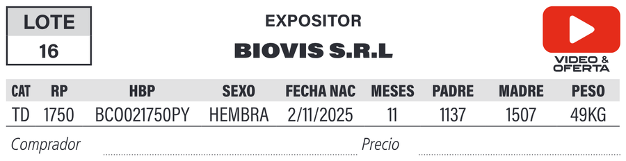 Lote LOTE 16