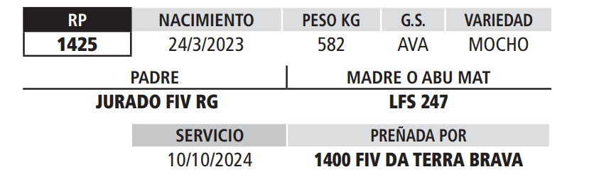 Lote LOTE 17