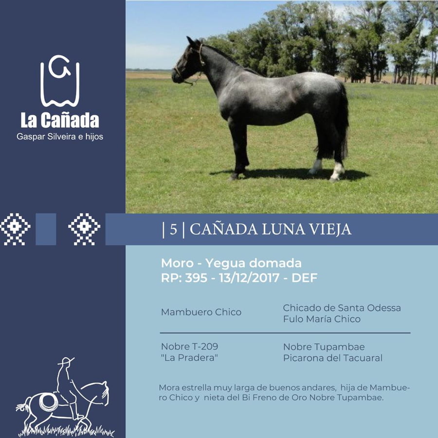 Lote Cañada Luna Vieja (RP 395) Cabaña "La Cañada"