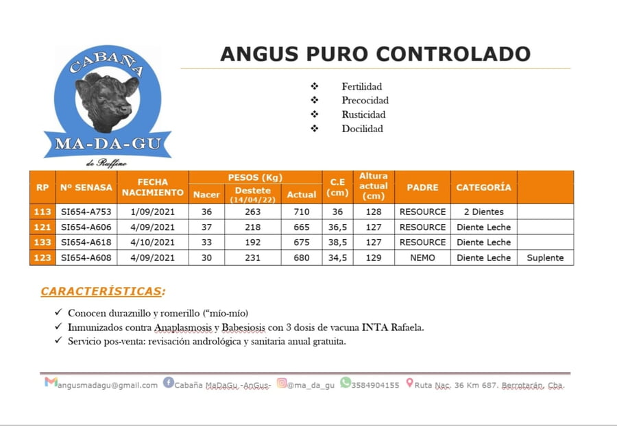 Lote RP 113-121-133-123 CABAÑA MADAGU