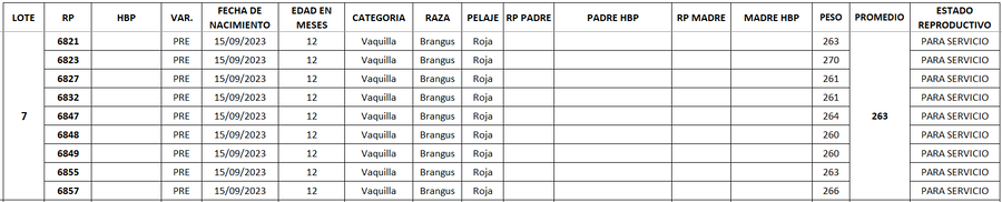 Lote LOTE 7