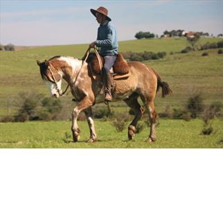 Lote YARARACA DEL CONVENTOS