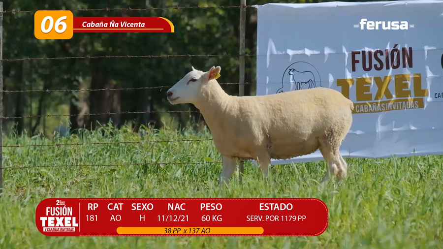 Lote LOTE 6