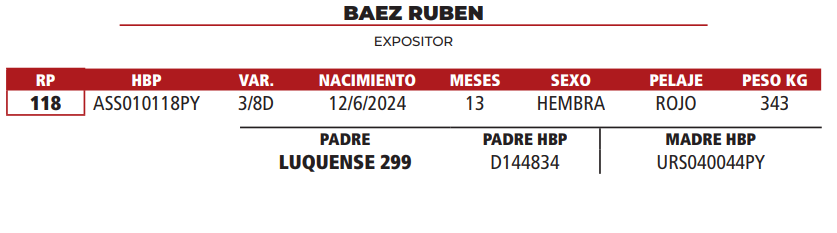 Lote LOTE 31