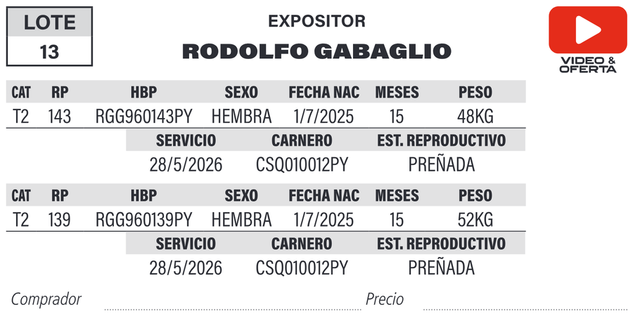 Lote LOTE 13