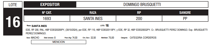 Lote LOTE 16
