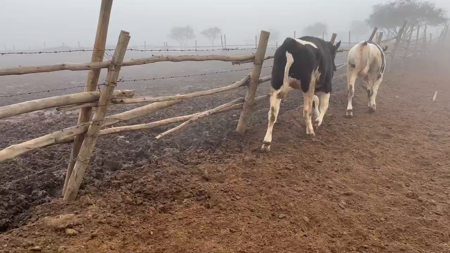 Lote 35 Novillo Gordo en Casablanca, V  Región Valparaíso