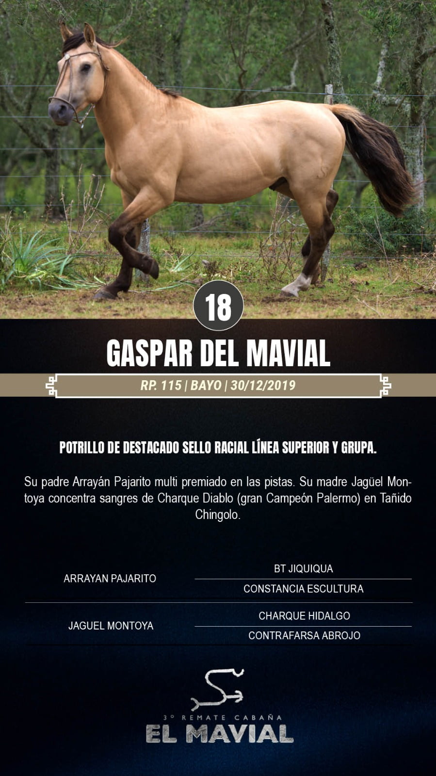 Lote Gaspar del Mavial