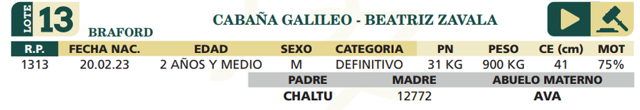 Lote LOTE 13