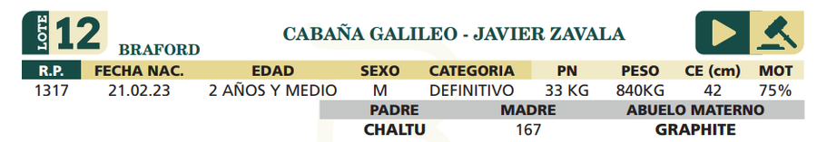 Lote LOTE 12