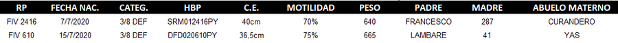 Lote LOTE 49 - DUO
