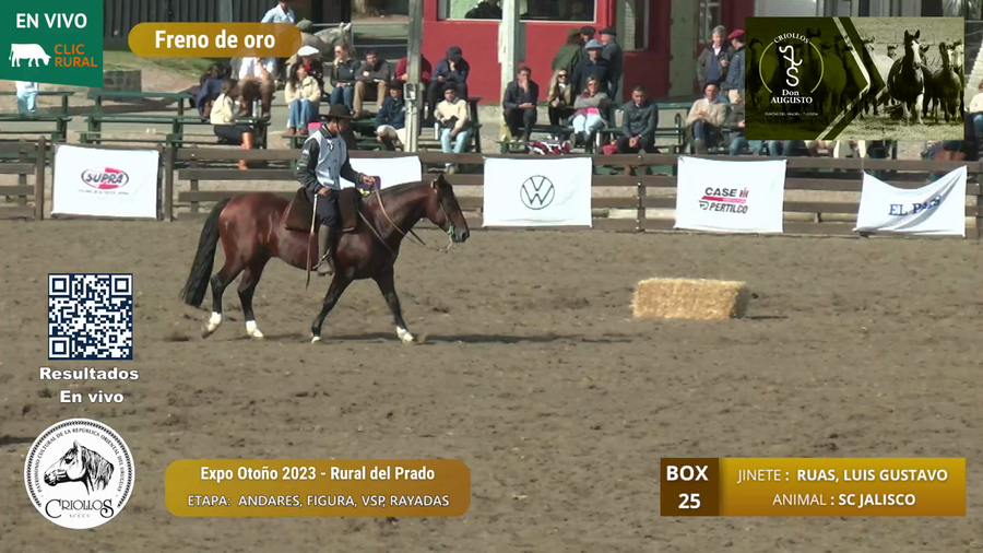 Lote SC JALISCO - VARGAS, DARLA EBERT