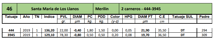Lote 2 borregos 2d doble tatuaje 444-3945