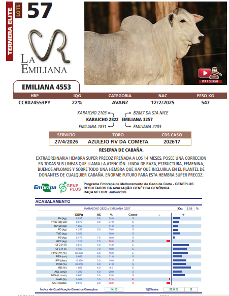Lote LOTE 57