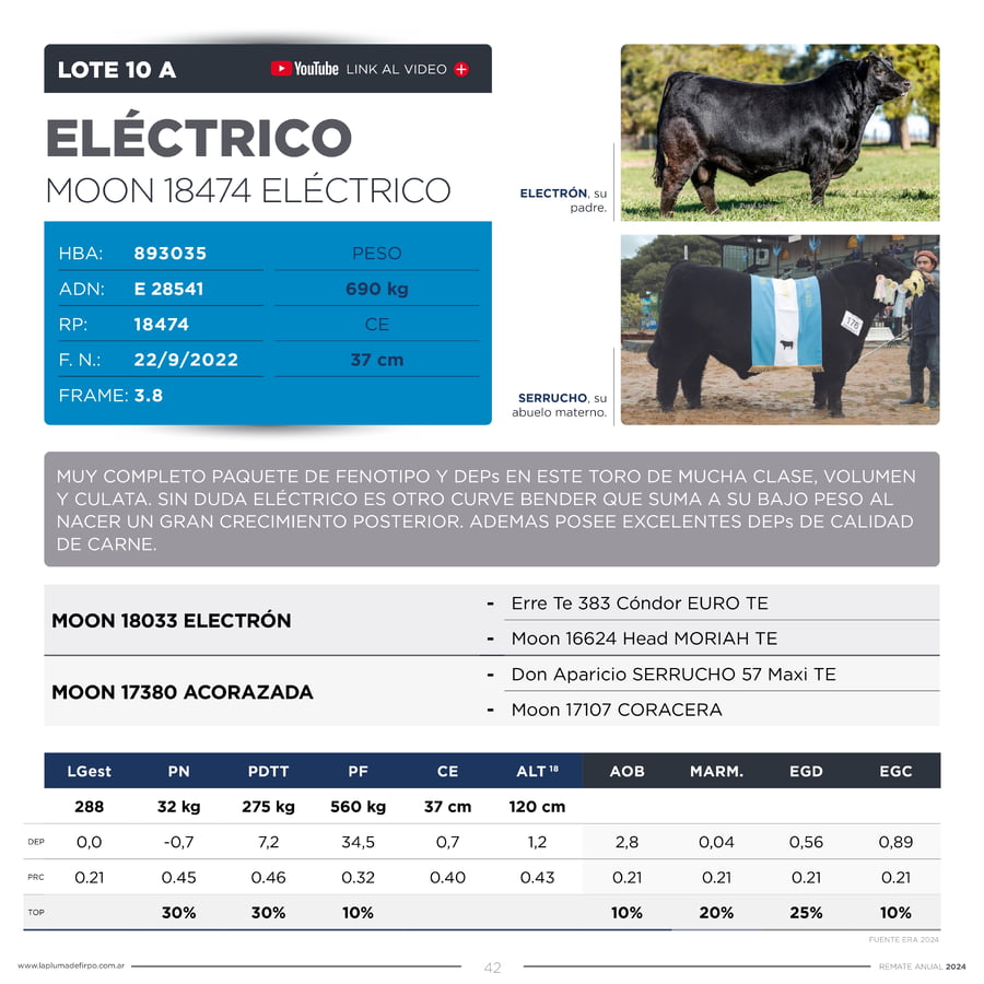 Lote TOROS PP DESTACADOS