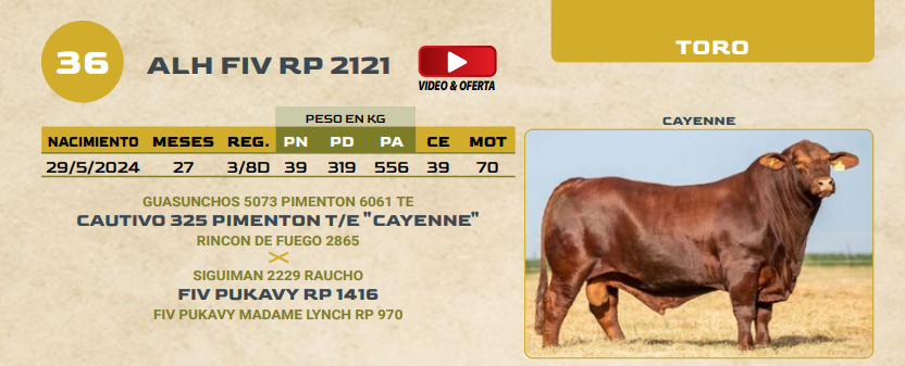 Lote LOTE 36