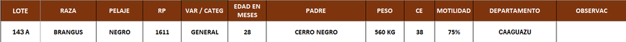 Lote LOTE 143 A