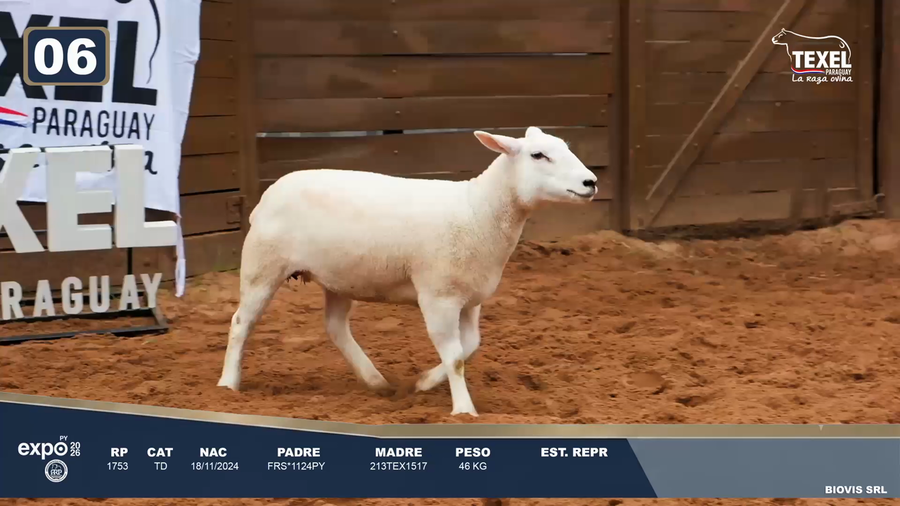 Lote LOTE 6
